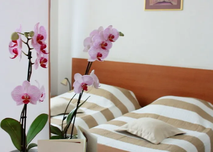 Hotel Dujam 3*